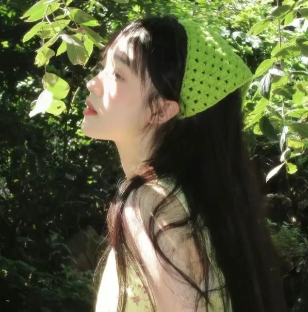 棕榈树森林